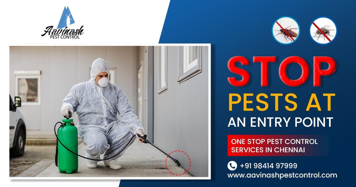 Best Pest Control Services experts in Chennai – Aavinashpestcontrol.com