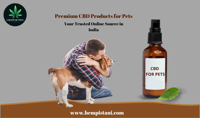 Premium CBD Products for Pets - Your Trusted Online Source in India