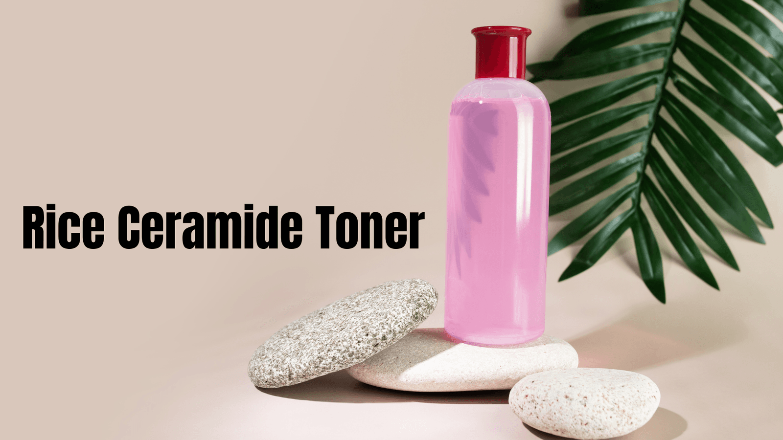 Say Goodbye to Dryness with Rice Ceramide Toner