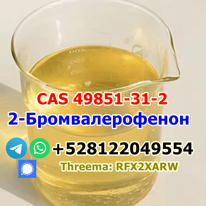 telegram@jskchem 2-Bromovalerophenone CAS 49851-31-2 with safe delivery factory price