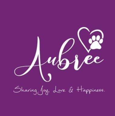 Find Healthy Puppies for Sale in Bangalore – Aubree.co.in