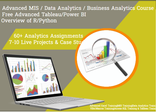 MIS Institute in Delhi, Advanced Microsoft Excel Classes, VBA Macros, MS Access Training, SLA Institute, 100% Job.