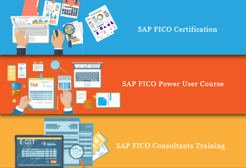 SAP FICO Institute in Uttam Nagar, Delhi, Noida, Ghaziabad, SLA Institute, Accounting, Taxation, Finance, Tally & GST, 100% Job